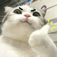 T/g xồn làm