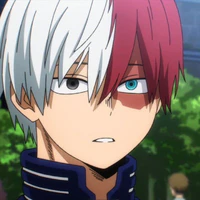 Shoto Todoroki