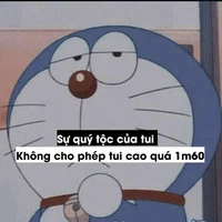 Sứa_đây_tác giả