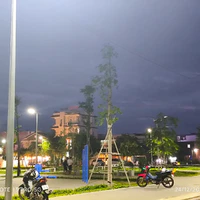 Tác giả