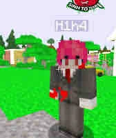 H1h4 