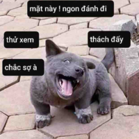 Em Hanna ( yêu cầu của Hanna )