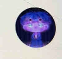 TinNT