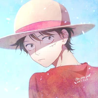 Monkey D Luffy