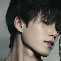 Nguyễn Thanh Sơn.fen