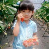 Lee Dain