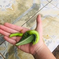 Lớp học 