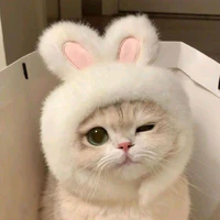 Tg cute