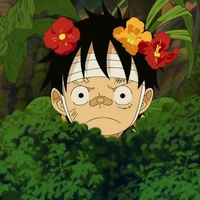 Luffy