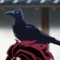 Quạ Kasugai ( tổng hợp )