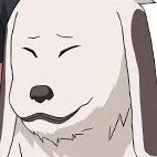 Akamaru