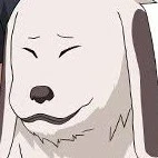 Akamaru