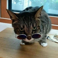 dori
