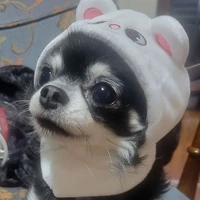 kkami