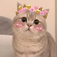 cả lớp