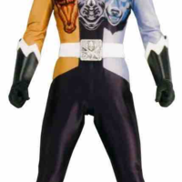 Zyuoh The World