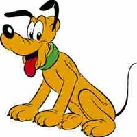 🐶