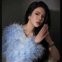 Diệp Lâm Anh