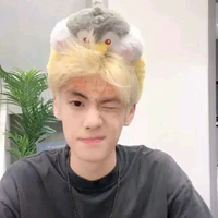 lưu giai lương