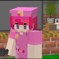 Hiha_Police