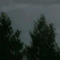 ？？？