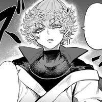 picero agares