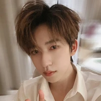 Hạ Tuấn Lâm