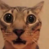 All