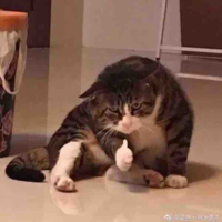 3 nhỏ báo