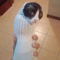 All