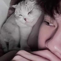 Hữu Đạt (Phoenix)