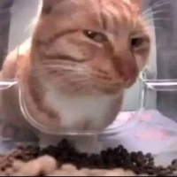 me