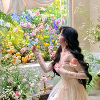 Tố Lâm