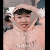 phạm đình hoà