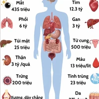 ALL( trừ ai thì trừ)