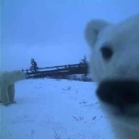 All ( trừ những người cần trừ )