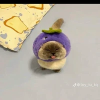 my(thành viên lớp)