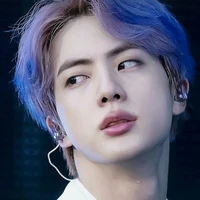 seokjin ( chị)