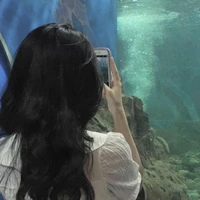 Nguyễn Hoàn Trâm (bffnu9)