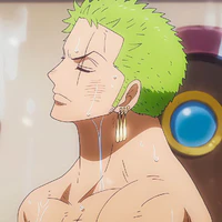 Roronoa Zoro _ anh