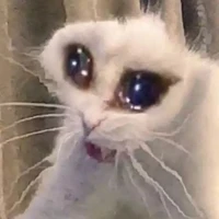 Tù nhân