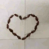 T/g nghị lực nhất hành tinh