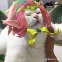 Tác giả siêu chinh