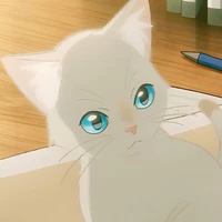 Mèo