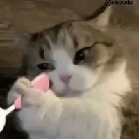All