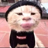 vẫn là tui nhưng ở hồi ức