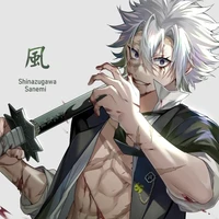 Shinazugawa Sanemi