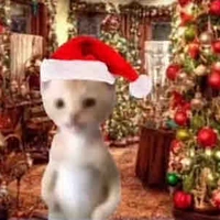 1 lỗ 5 cây mới đủ đô tao🥰✨🫵