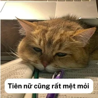 Su(hệ thống)