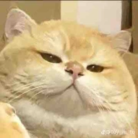 Ebe tác giả nè